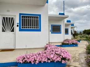 Elgreco Apartments at Tigaki near the sea 2